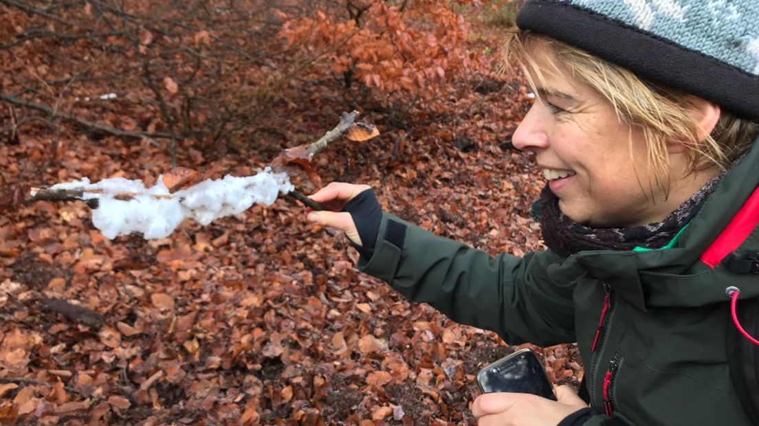 Grieta Spannenburg, de nieuwe weervrouw van RTV Oost, met ijshaar, een vrij zeldzaam natuurverschijnsel