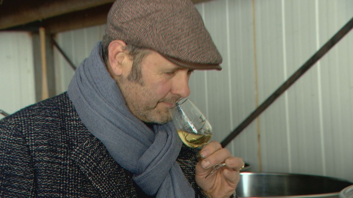 Dit is waarom Zeeland het Bordeaux van 2050 kan worden