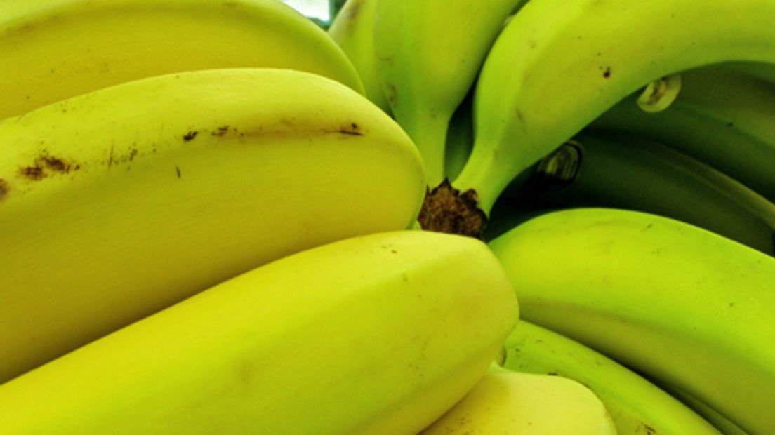 bananen-fruit-0209