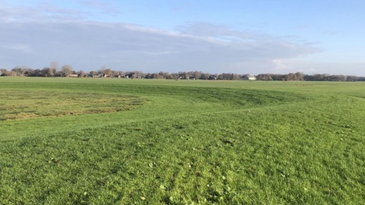Polder tussen Leeuwarden-Gytsjerk opgeknapt: minder wateroverlast, meer natuur