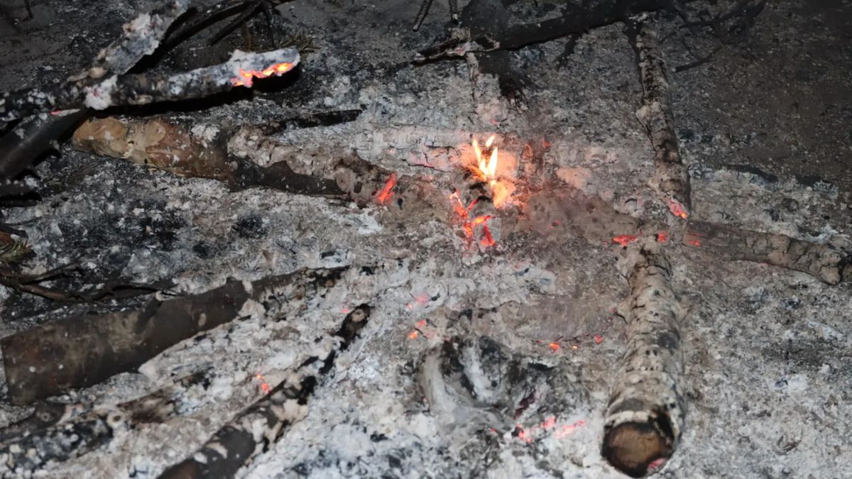 Jongeren steken kerstbomen in brand, politie brengt ze naar ouders