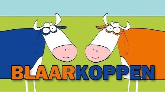 Blaarkoppen zien een hoop bagger