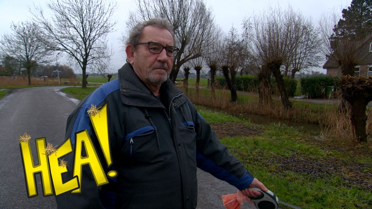 HEA! Goeie in Snakkerburen