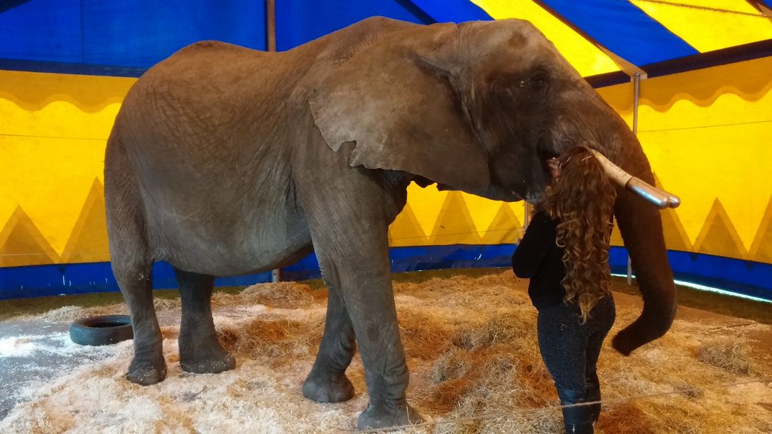 Kerstcircus Freiwald niet blij met staatssecretaris Dijksma