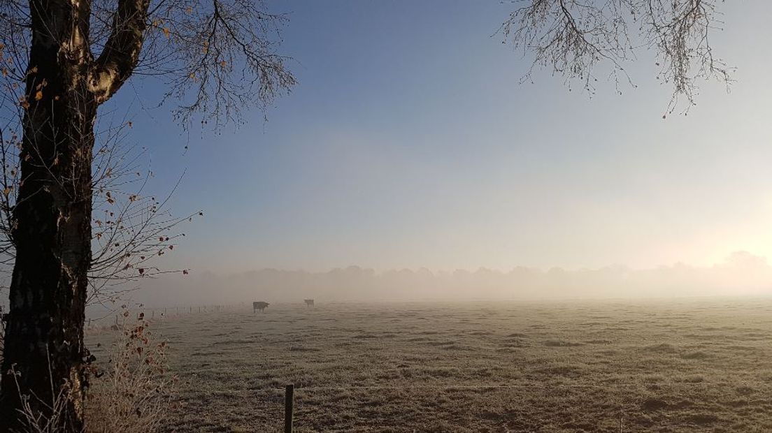 Dinsdagmorgen tussen Eerbeek en Tonden.