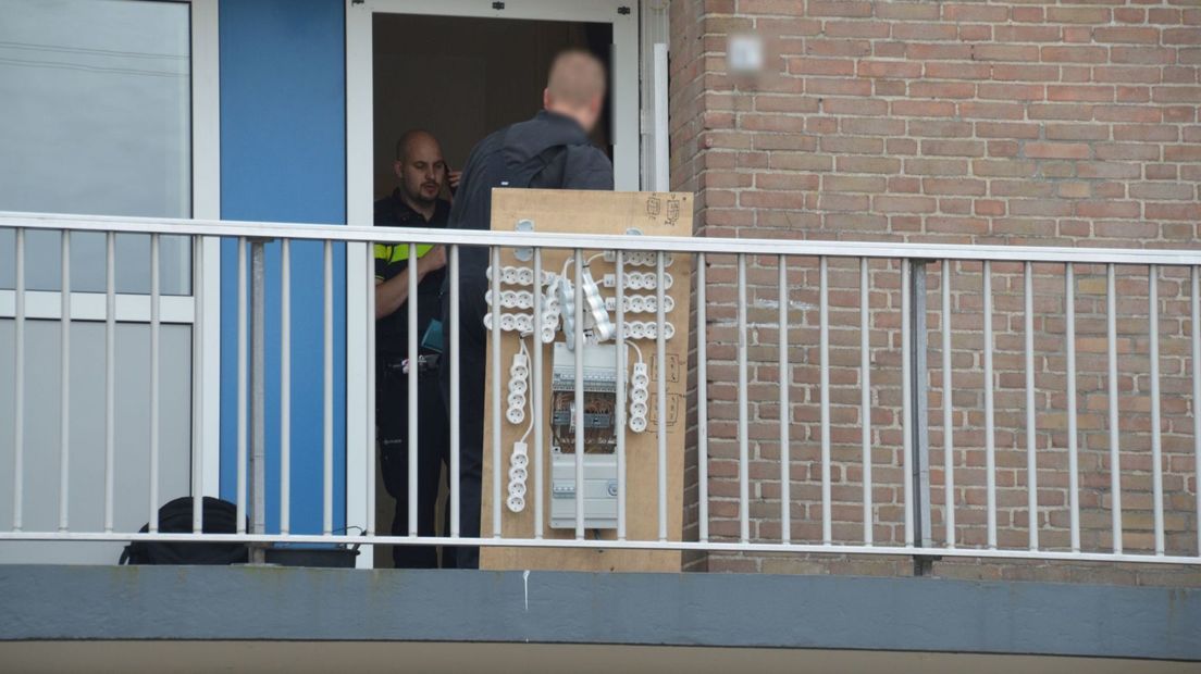 Politie rolt hennepkwekerij met 300 planten op