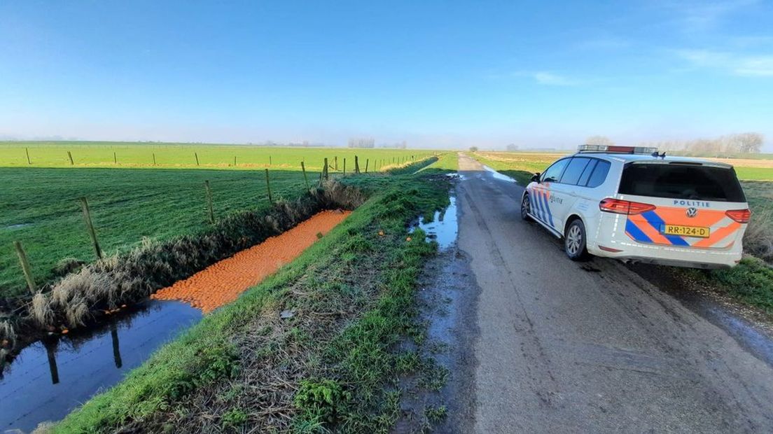 Tientallen sinaasappelen gedumpt.