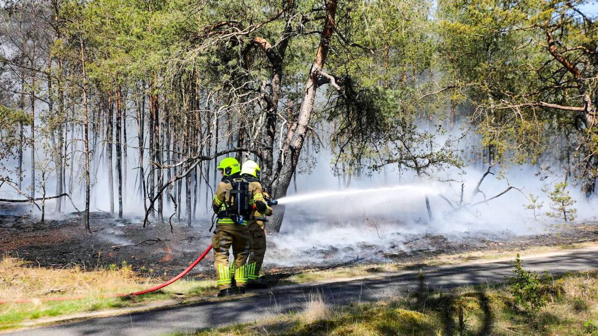 Brand Kootwijk: wat u moet weten — image 1