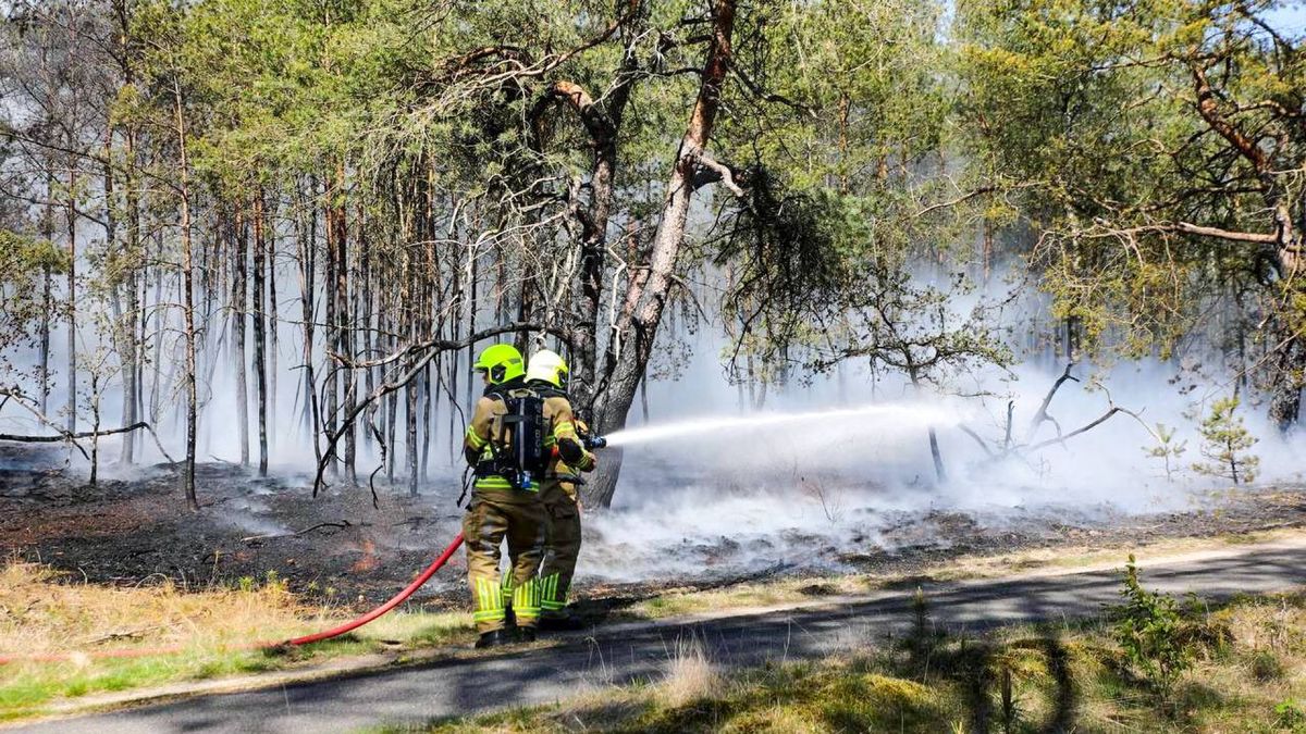 Bosbranden bij Kootwijk en Harderwijk: brandweer bezig met nablussen