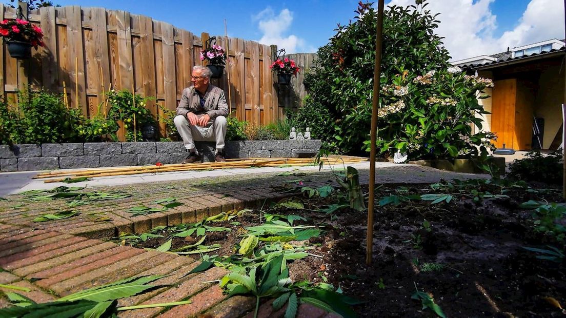 Jan kijkt verslagen naar de afgehakte plantjes