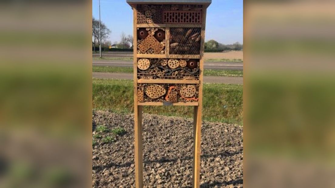Een insectenhotel