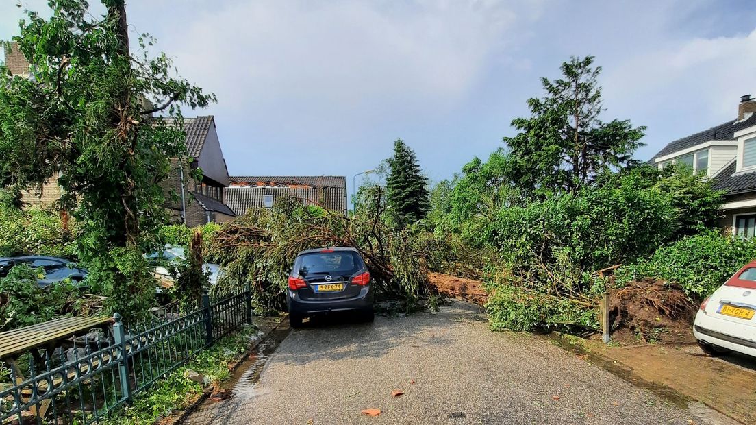 Op verschillende plekken zijn bomen op auto's terechtgekomen