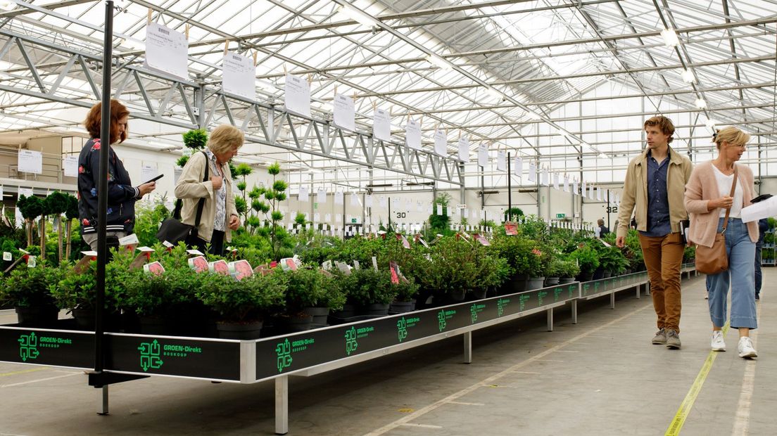 Klanten slaan planten in die ze doorverkopen aan consumenten
