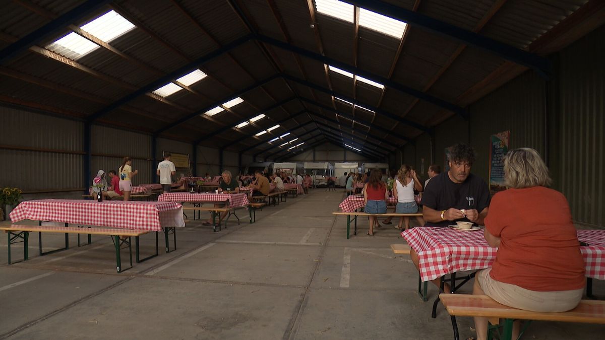 Hoeve Batenburg is tijdens Concert at SEA anders dan anders: 'Dit weekend is er meer reuring en dat 