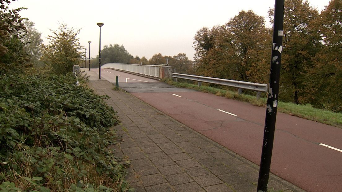 De fietsbrug over het spoor aan de Van Vredenburchweg in Rijswijk