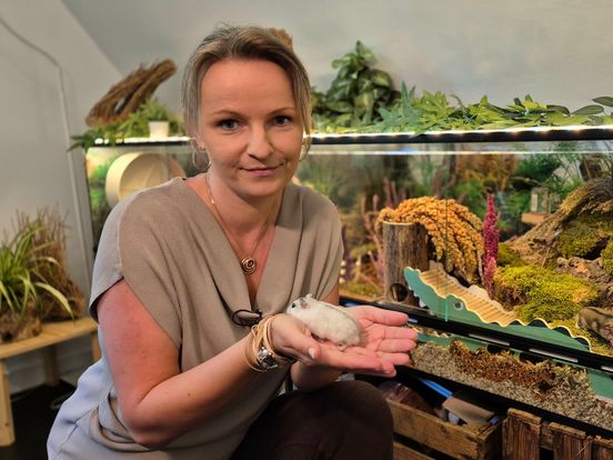 Marika uit Hoogeveen dreigde haar hamsters kwijt te raken, maar nu is er weer hoop