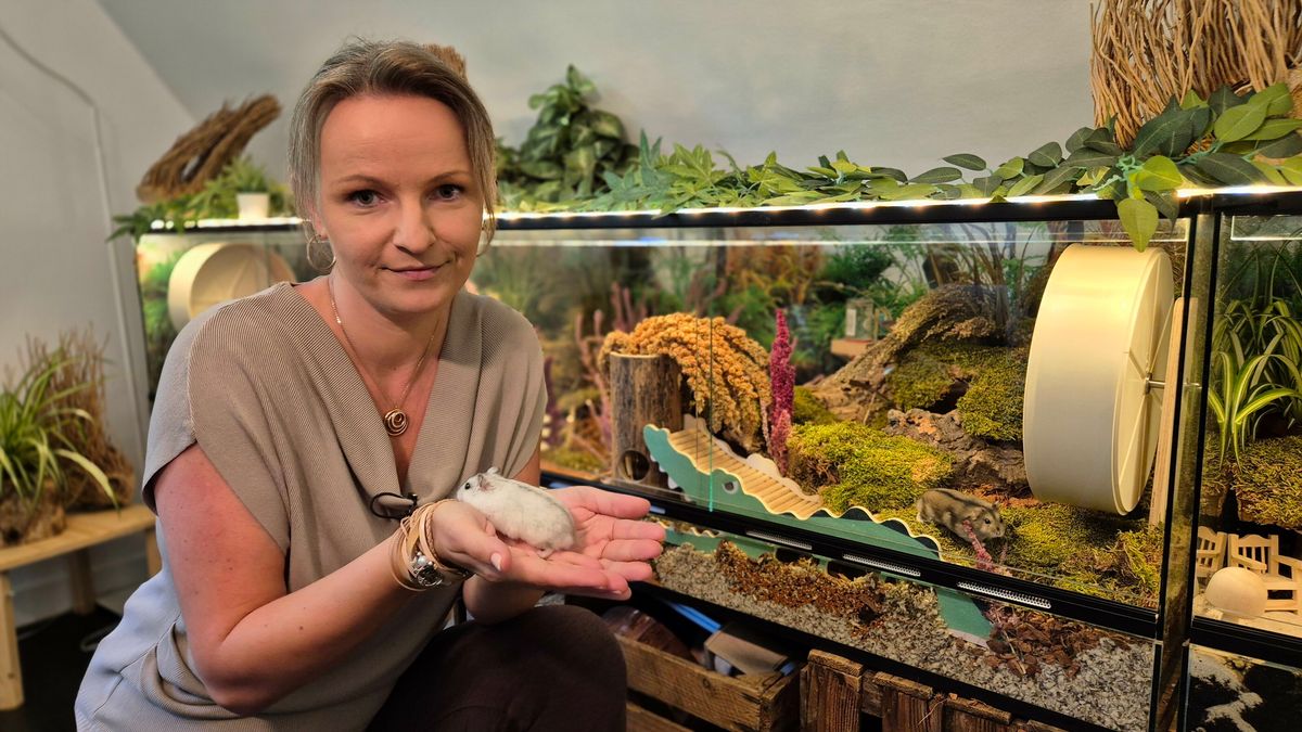 Marika uit Hoogeveen dreigde haar hamsters kwijt te raken, maar nu is er weer hoop