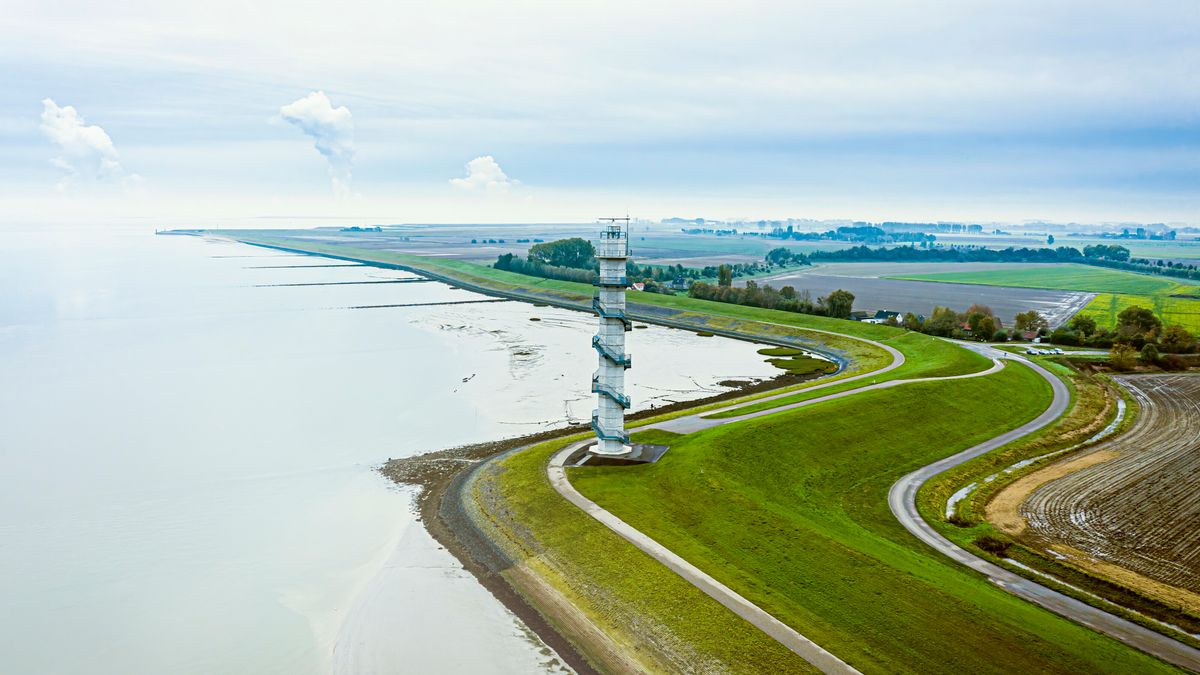 Nieuwe wandelroutes in Groot Saeftinghe: 'Ze moeten je zintuigen prikkelen'