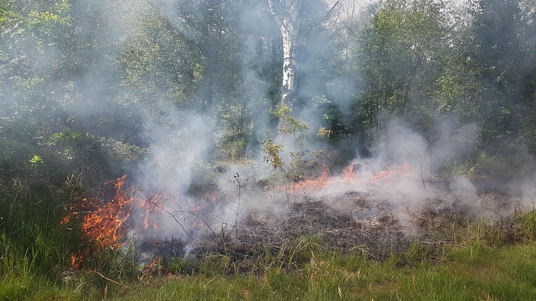 Bosbrand in Nederland