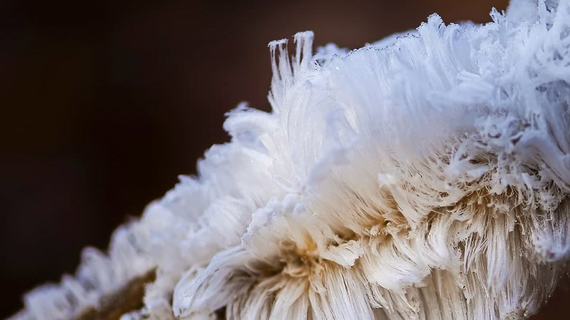 Kletsnatte knieën, gouden foto’s: Martijn laat je anders kijken naar de herfst