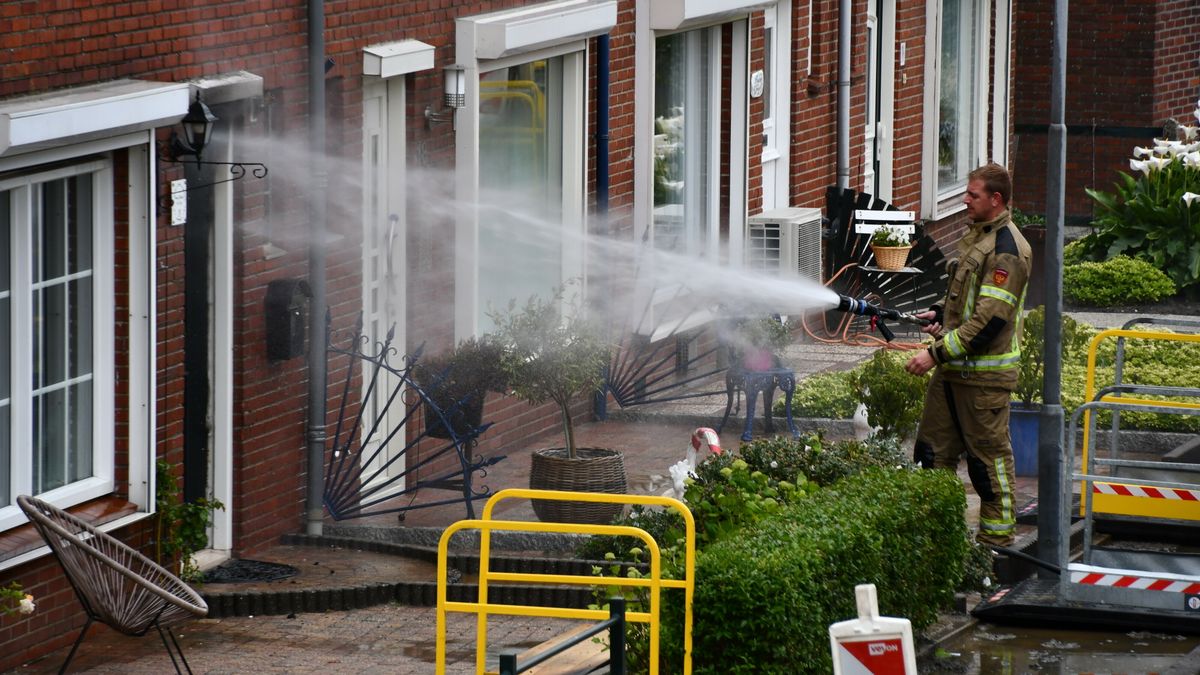 Poes en vijf kittens gered bij brand in Sint Philipsland