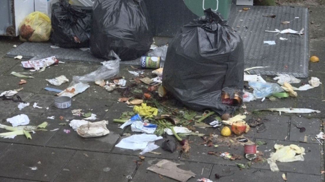 Afval in Leidschendam-Noord op een zaterdag I Foto Omroep West