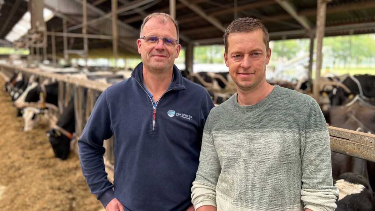 Boeren klaar om groen gas voor huishoudens op te wekken