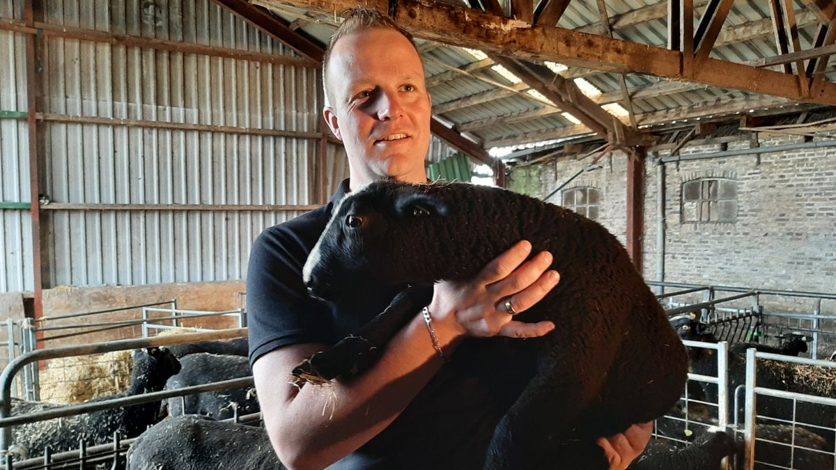 Wiepke Lam uit Oudega is trots op zijn zwartblesschapen: 