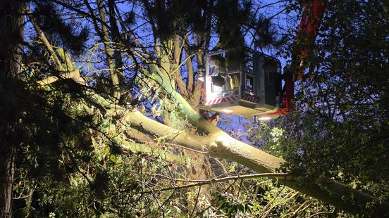 Bomen gesneuveld • brand in schuurtje