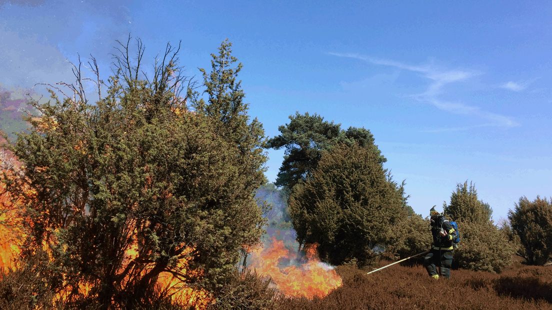 De brandweer kan inmiddels blussen (Rechten: RTV Drenthe / Sjoerd Looijenga)