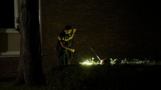 Melding steekpartij Sittard: politie zoekt in wijk Home