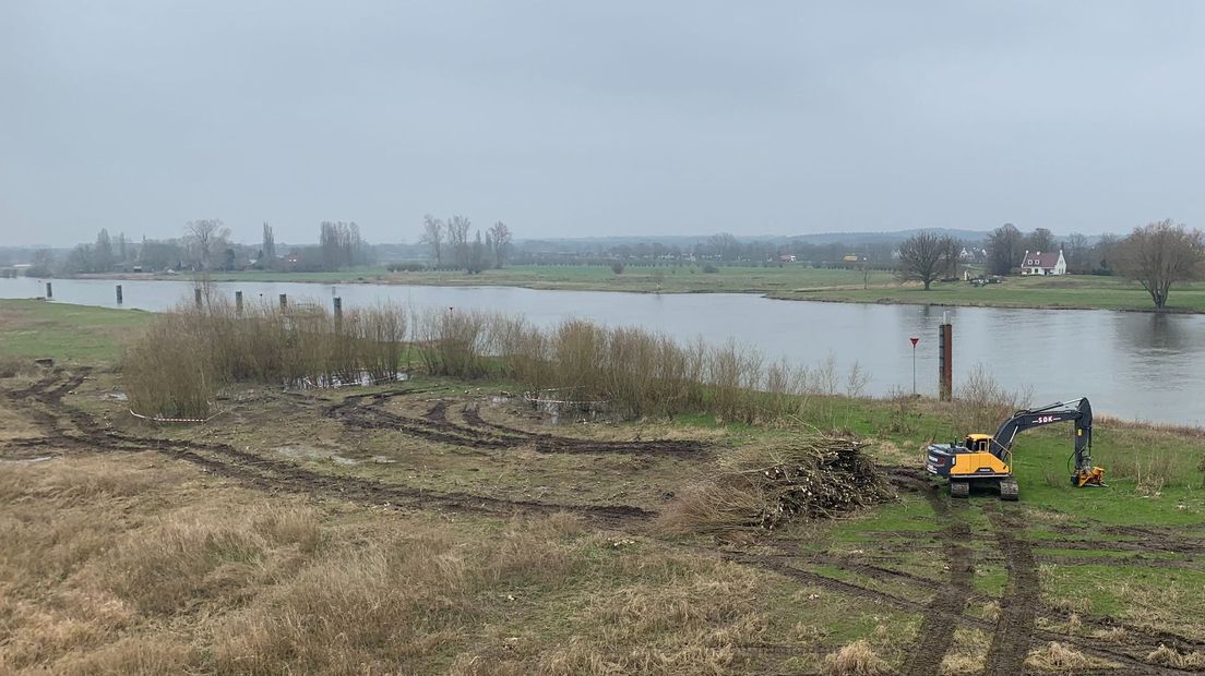 Rivierbosjes langs de IJsseloevers vrijwel allemaal gekapt