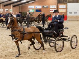 Kijk hier foto's van Twentse Tuigpaardendag in Ambt Delden