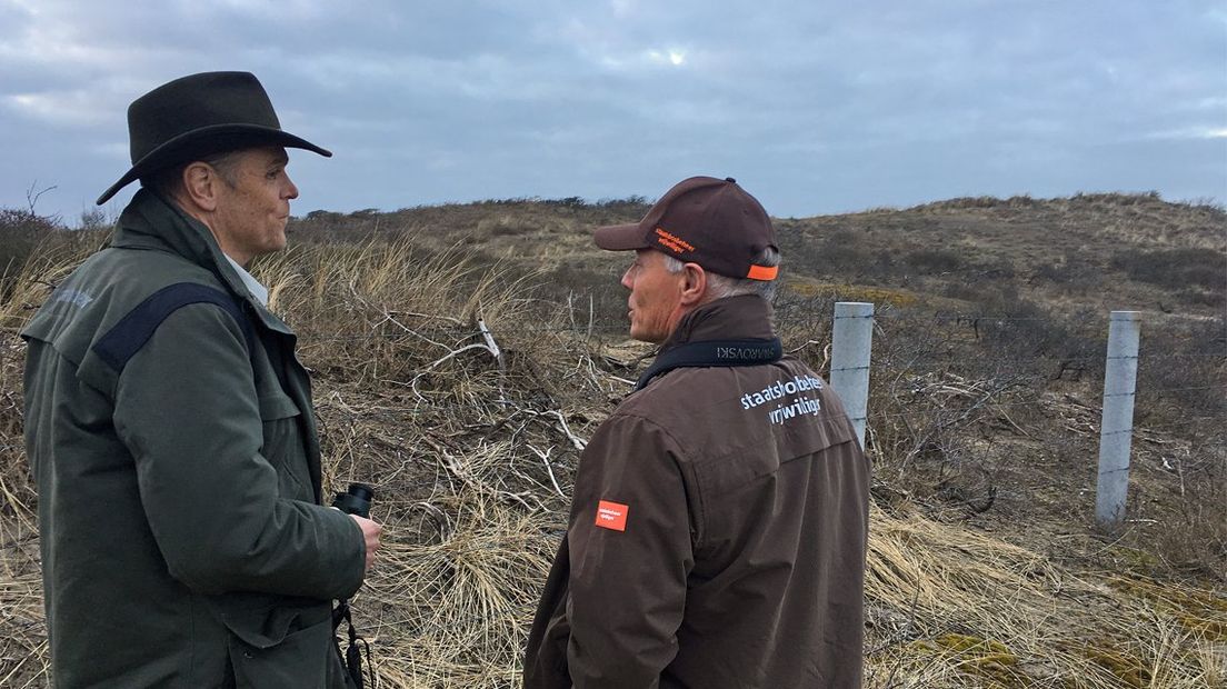 Boswachter Mark Kras (l) en vrijwilliger Joost Bouwmeester (r) tijdens de telling. 