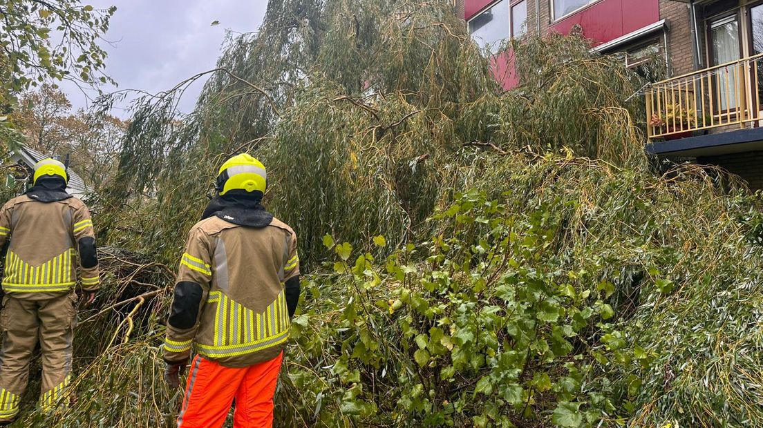 De boom is omgewaaid tegen een flat aan de Spaarnestraat in Leiden