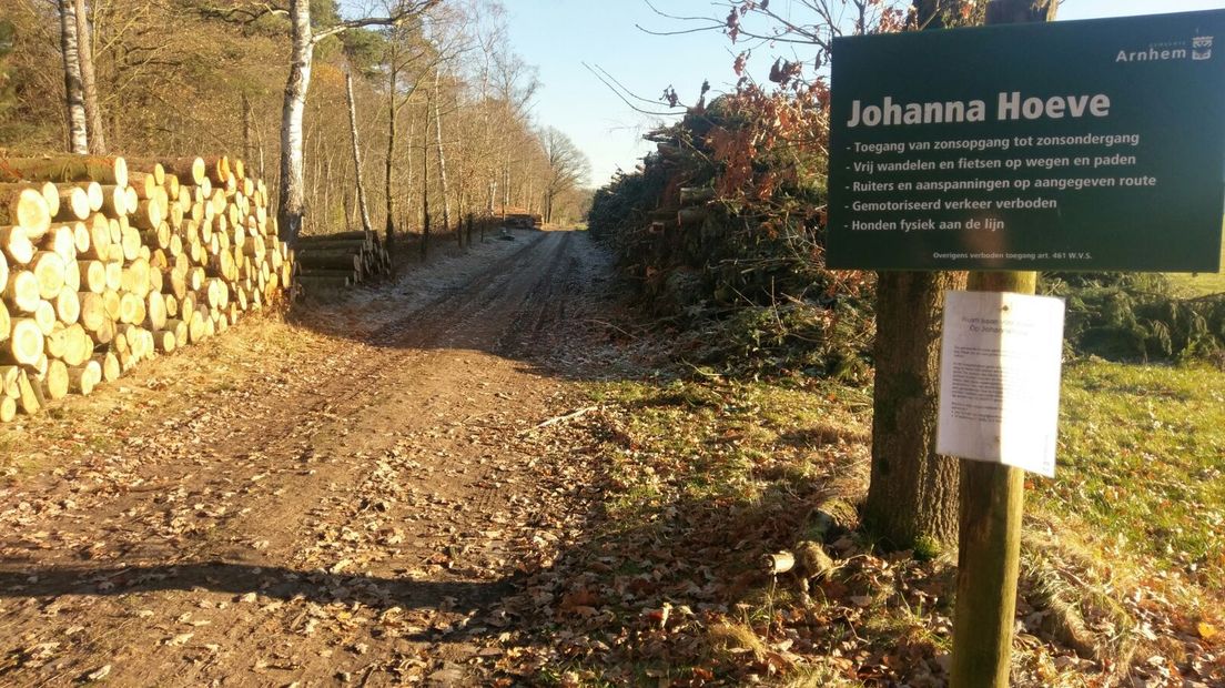 In Wolfheze is een 59-jarige man uit het Zuid-Hollandse Strijen om het leven gekomen doordat een boom op zijn auto viel. Dat gebeurde bij het Bilderberghotel. De man stond er met zijn auto stil, aldus de brandweer.