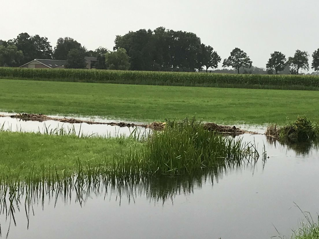 Droogte kost waterschappen vermogen: 'De kosten kunnen oplopen tot meer dan een miljoen'