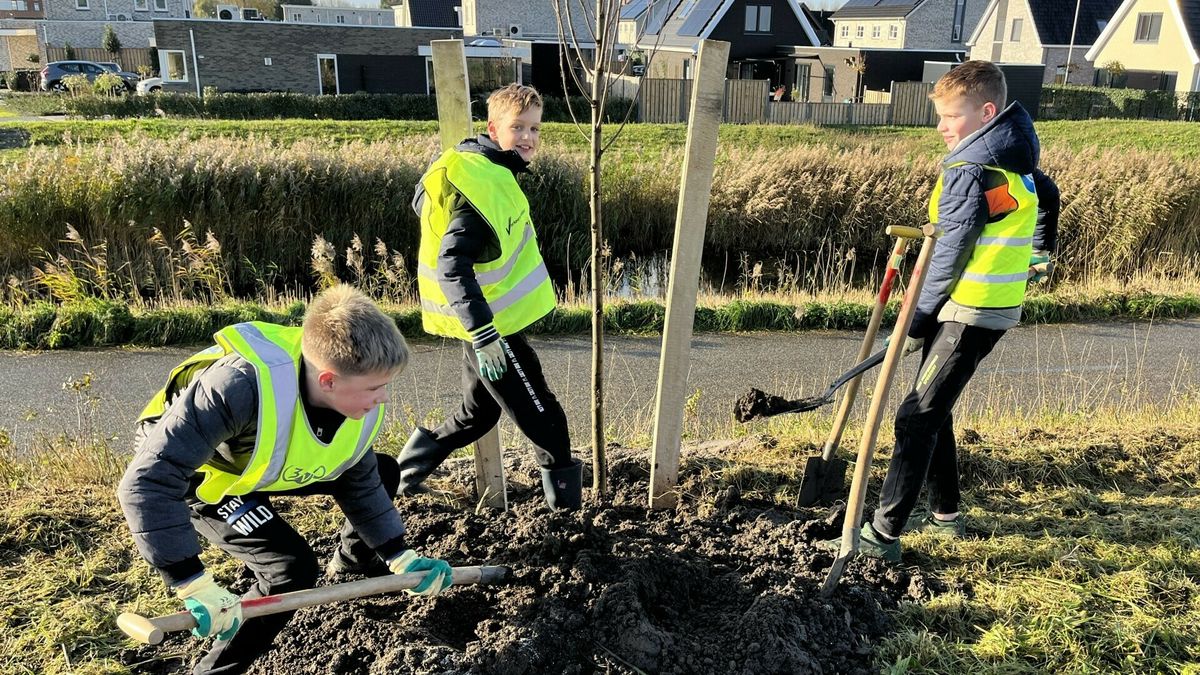 Kortgene viert Boomfeestdag met veertig nieuwe bomen