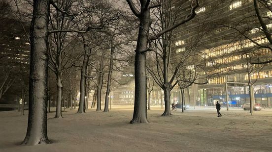 Massaal thuiswerken en geen school vanwege sneeuw, stil op straat: 'Vandaag moet ik er echt zijn' Nieuws