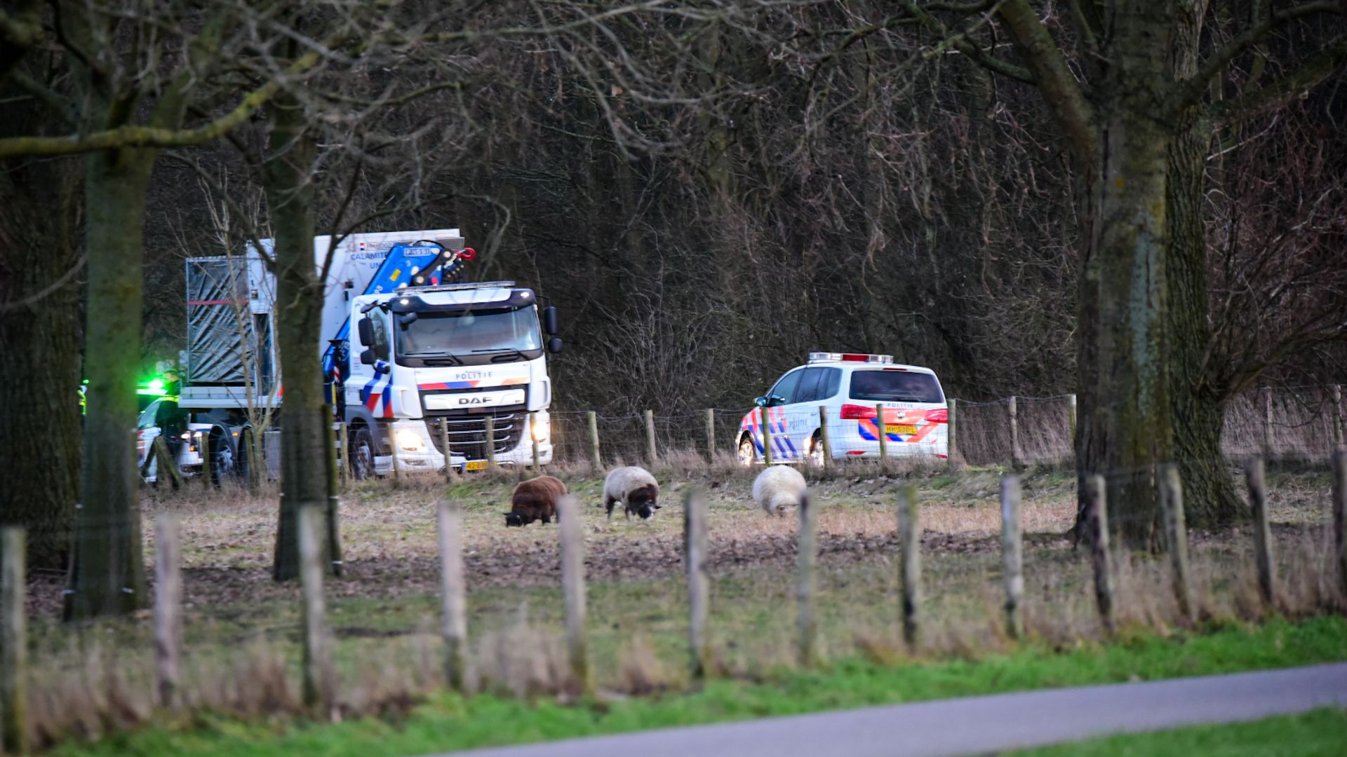 Wandelaar Treft Dode Man Aan Bij Oude Maas In Barendrecht - Rijnmond