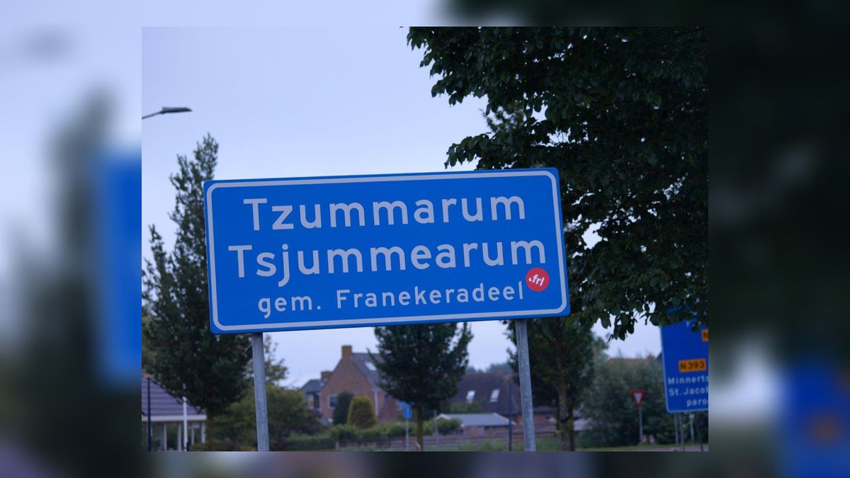 Enquête voor inwoners Tzummarum over toekomst voorzieningen