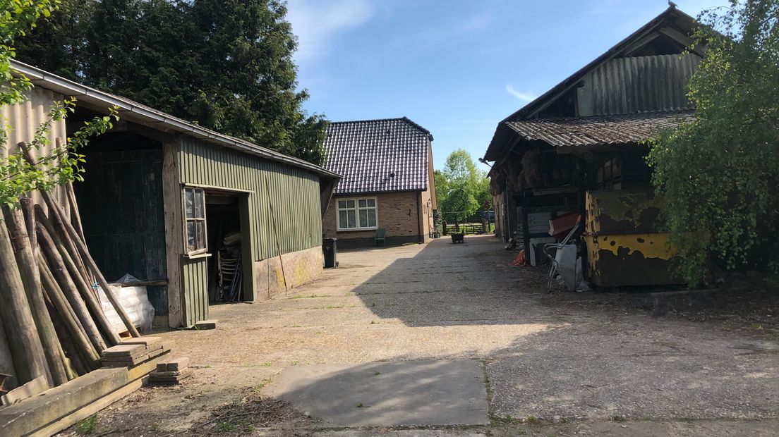 Een 80-jarige boer uit de Betuwe stond donderdag terecht voor het verwaarlozen van zijn koeien en schapen. Een aantal koeien zou in vervuilde stallen hebben gestaan en de dieren zouden niet voldoende voer of water hebben gehad. De officier van justitie eiste dat zijn onderneming een jaar wordt stilgelegd.