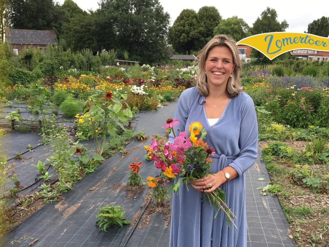 'Hoeksche mama' Anouk in de Plukhoek