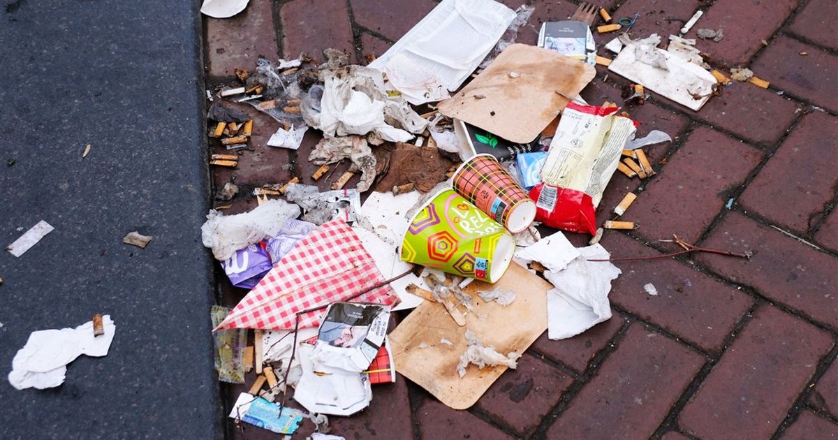 Mega fine of 1000 euros for littering realistic or ripe for the waste