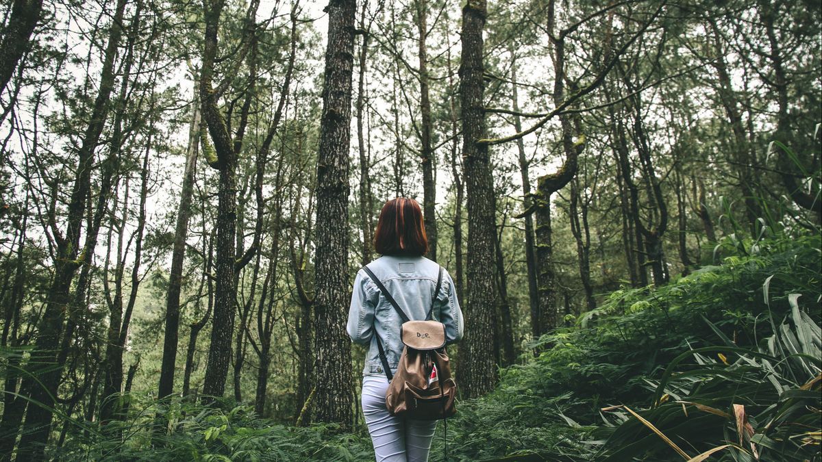 Vermoedelijke aanrander opgepakt in natuurgebied, oplettende burger slaat alarm