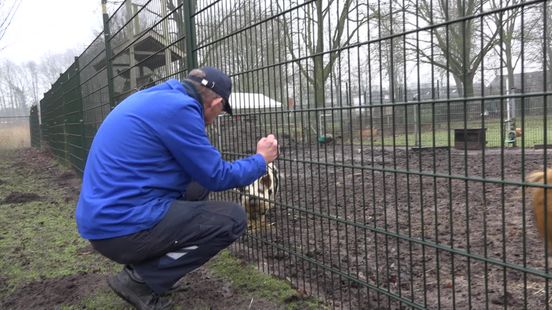 Dierenvoer valt nu in hoger btw-tarief: kinderboerderijen vrezen voor toekomst