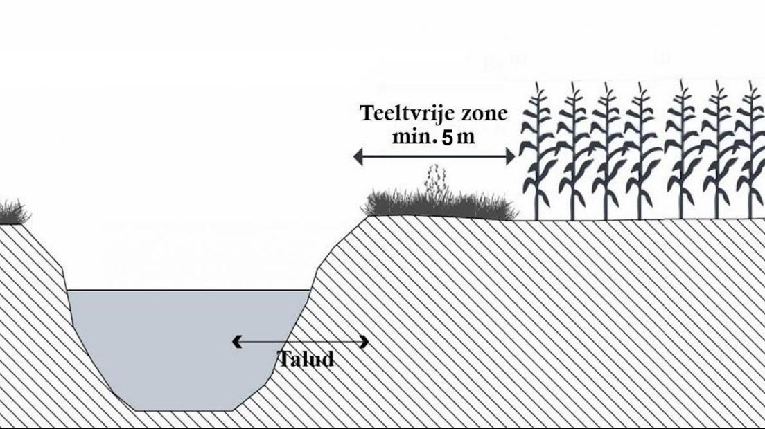 De teeltvrijezone van 5 meter