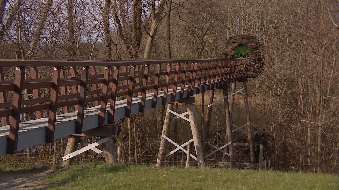 Natuur bekijken vanuit een reuze vogelnest (video)