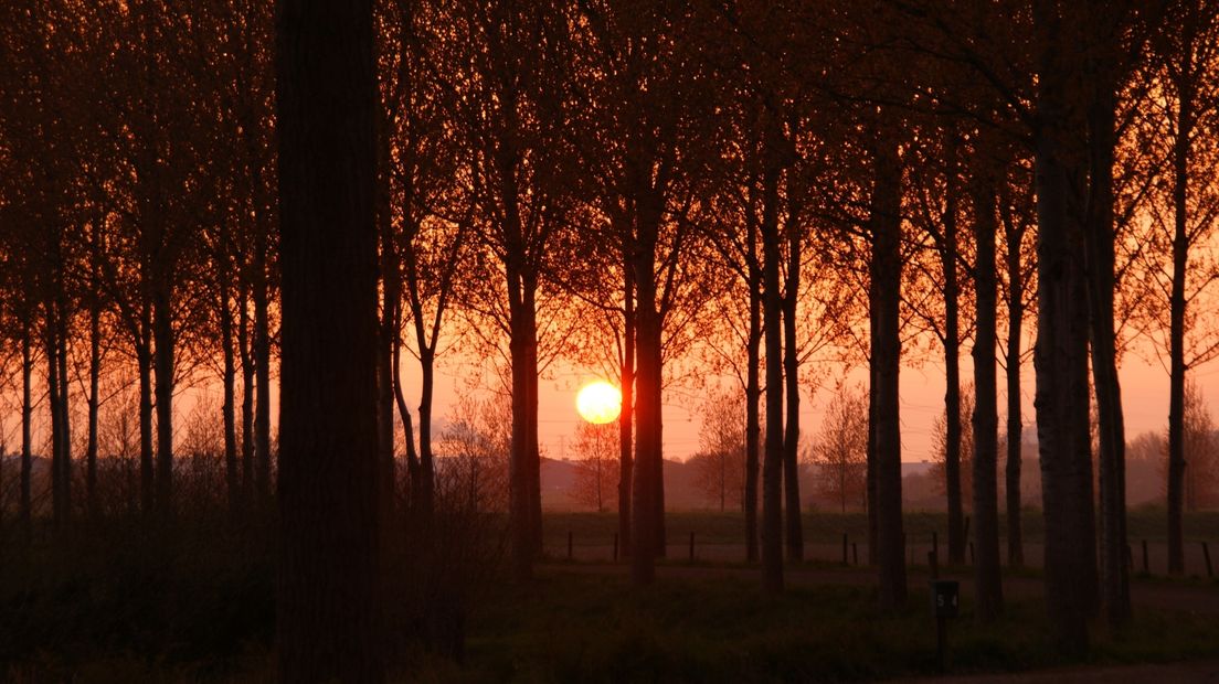 Ondergaande zon in 's-Heerenhoek