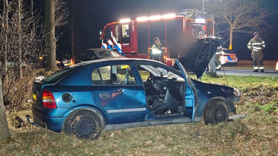 Auto belandt in bosjes • brand verwoest auto
